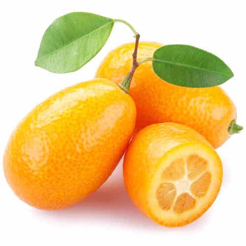 Kumquat
